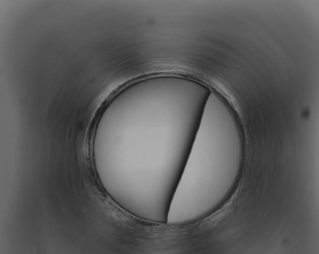 X0000091730883200708241041