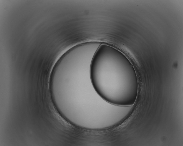X0000091730884200708241041