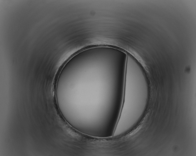 X0000091730885200708241041