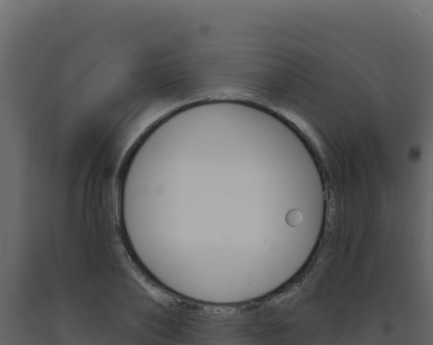 X0000091730886200708241041