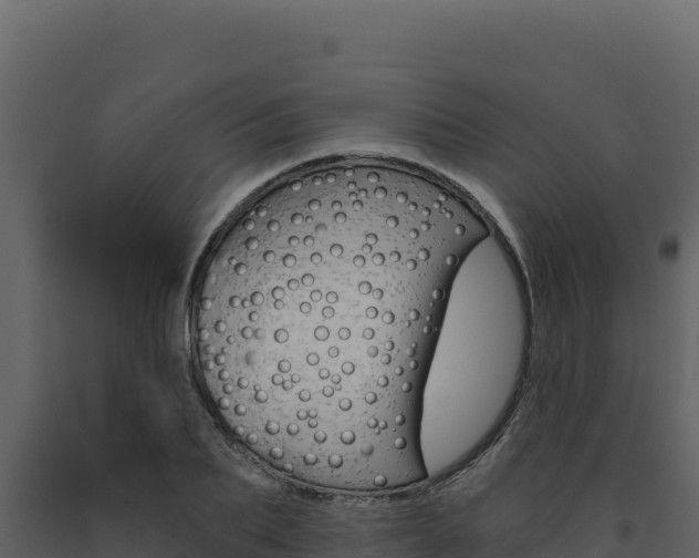 X0000091730887200708241041