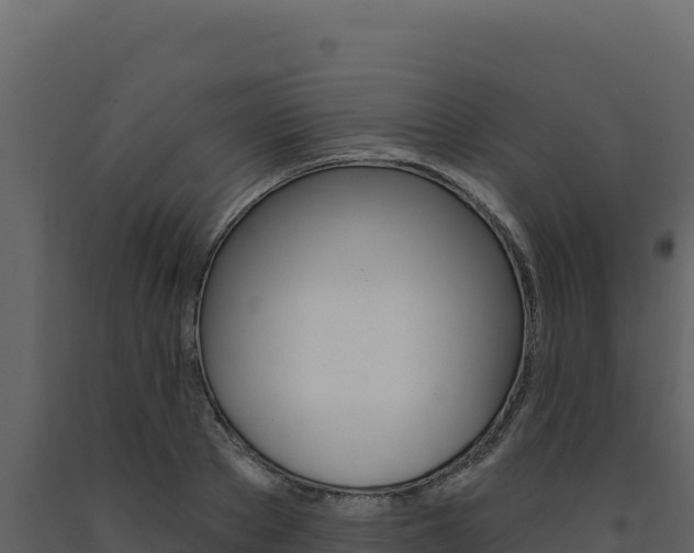 X0000091730889200708241041
