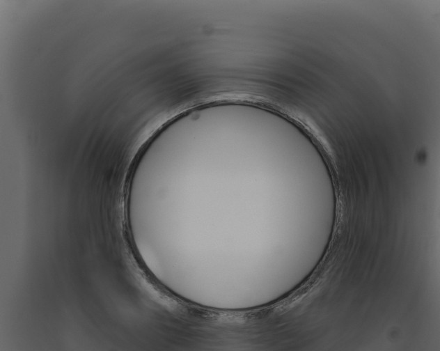 X0000091730890200708241041