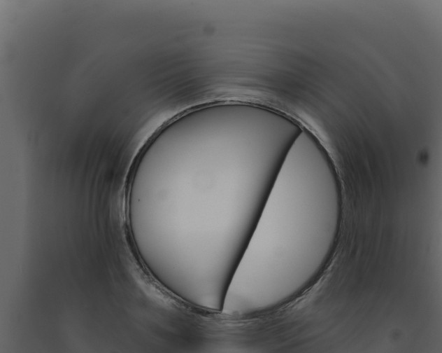 X0000091730891200708241041
