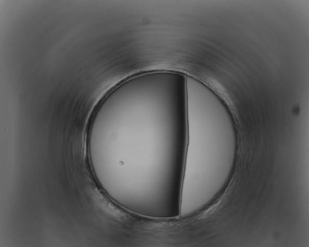 X0000091730892200708241041