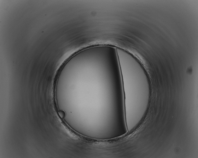 X0000091730894200708241041