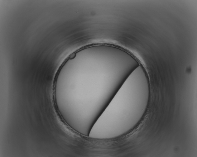X0000091730895200708241041