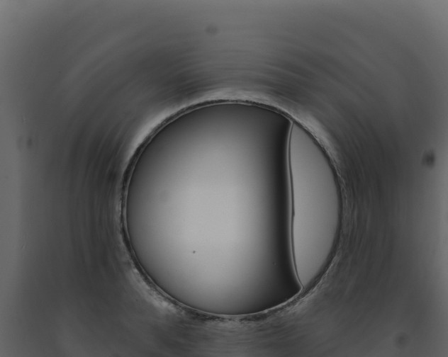 X0000091730896200708241041