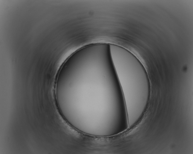 X0000091730901200708241041