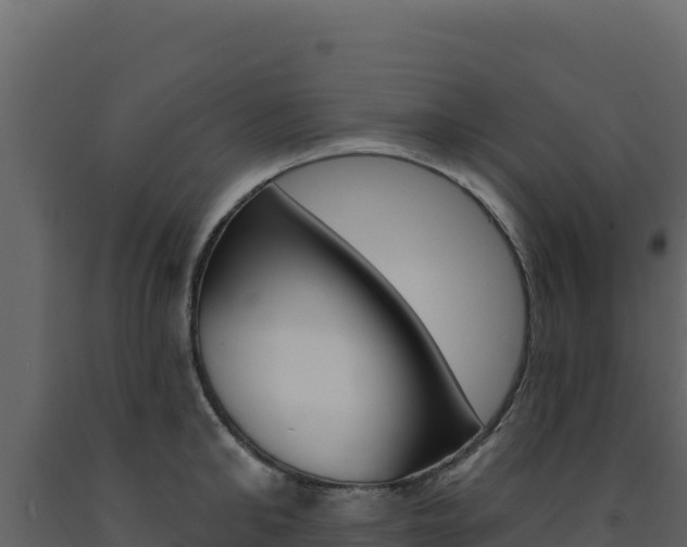 X0000091730902200708241041