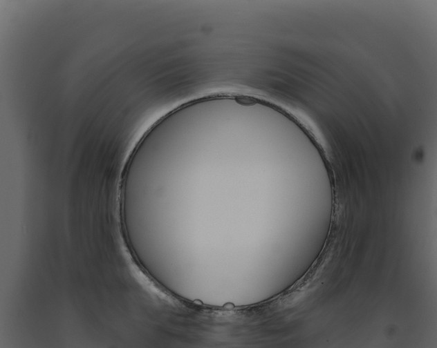 X0000091730903200708241041