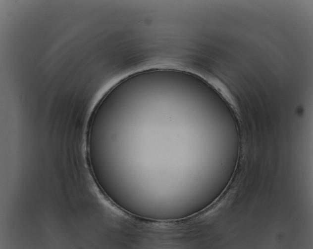 X0000091730904200708241041