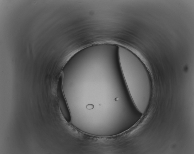 X0000091730905200708241041