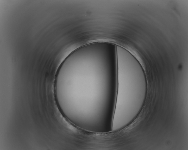 X0000091730906200708241041