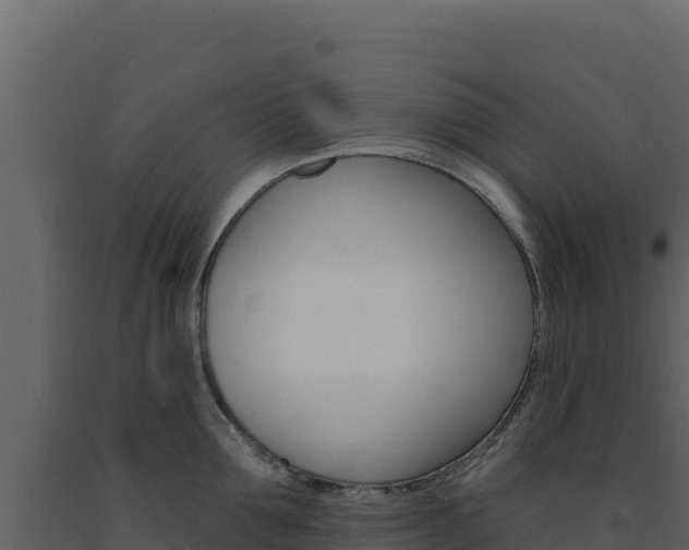 X0000091730907200708241041