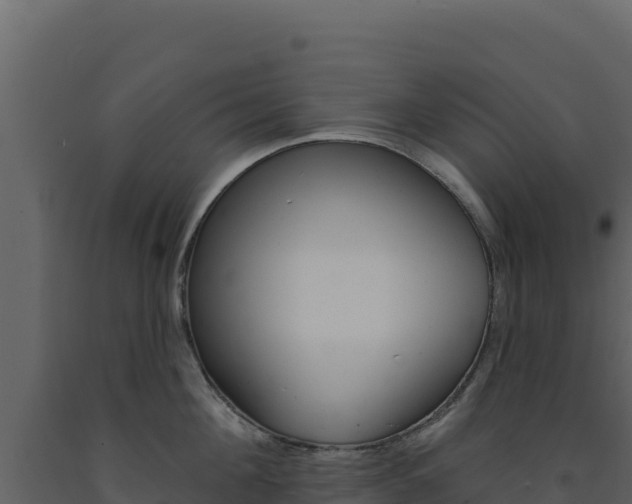 X0000091730908200708241041