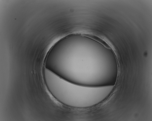 X0000091730909200708241041