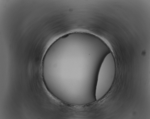 X0000091730911200708241041