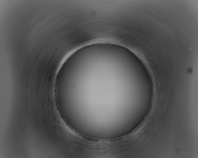 X0000091730912200708241041