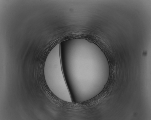 X0000091730914200708241040