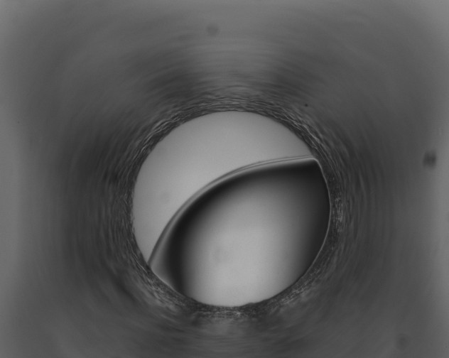 X0000091730916200708241040