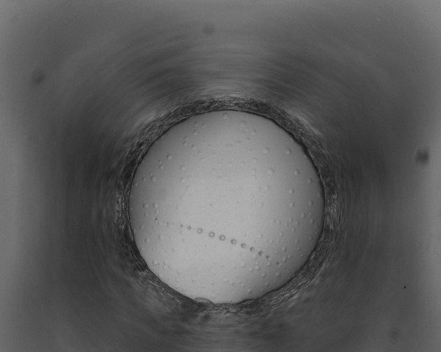 X0000091730917200708241040