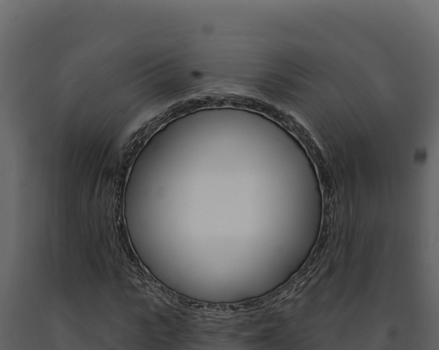 X0000091730919200708241040