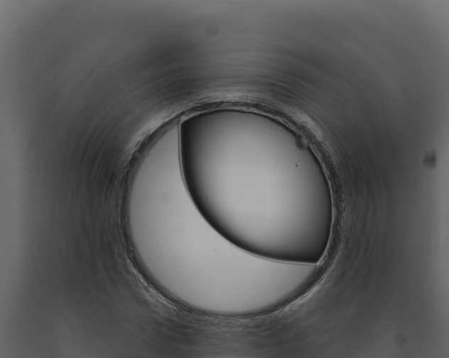X0000091730922200708241040