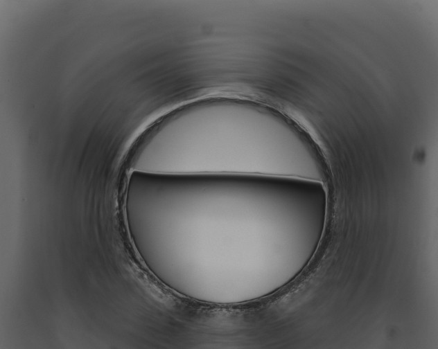 X0000091730923200708241040