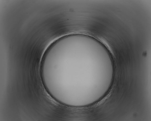 X0000091730924200708241040