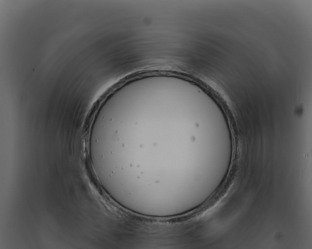 X0000091730925200708241040