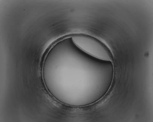 X0000091730927200708241040