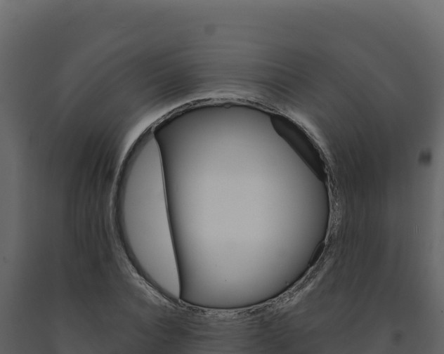 X0000091730928200708241040