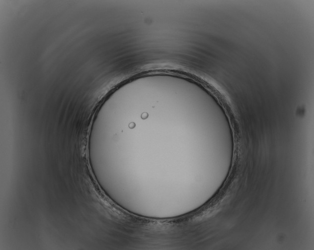 X0000091730929200708241040