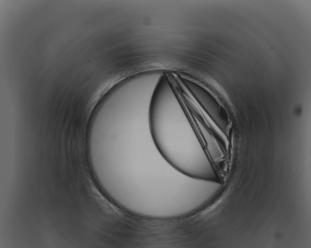 X0000091730930200708241040