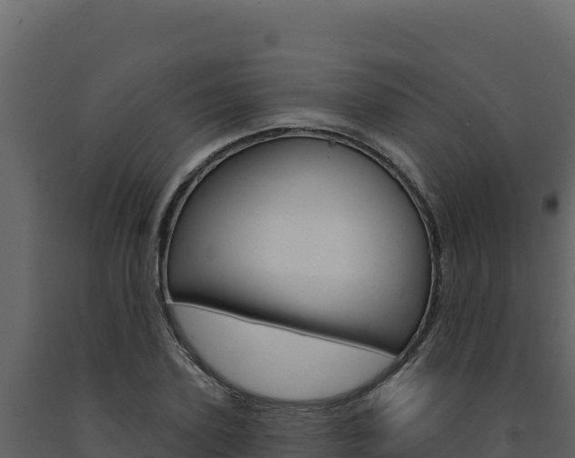 X0000091730931200708241040