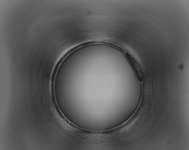 X0000091730932200708241040