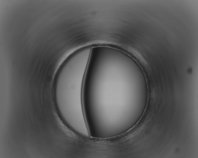 X0000091730934200708241040