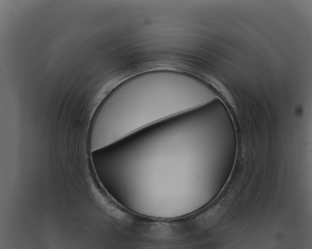 X0000091730938200708241040