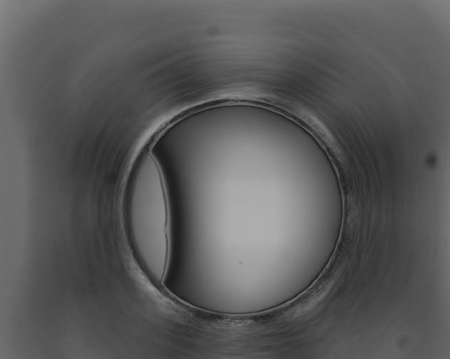 X0000091730939200708241040