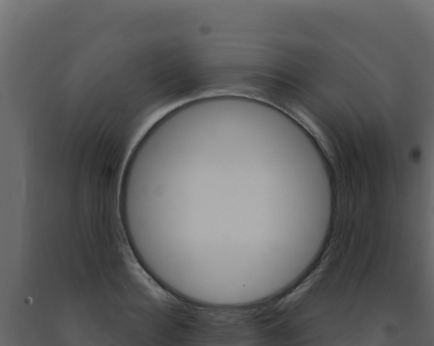 X0000091730940200708241041