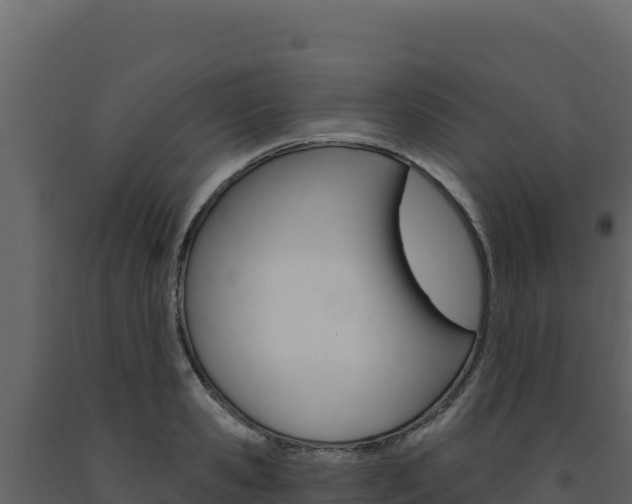 X0000091730941200708241041
