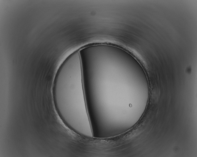 X0000091730943200708241041