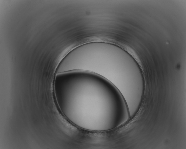 X0000091730946200708241041