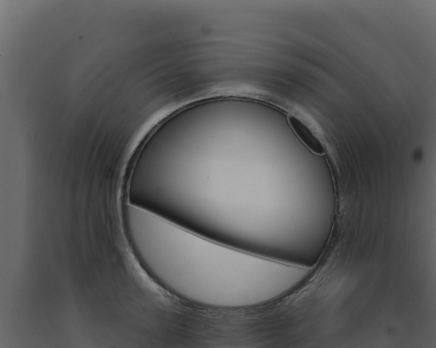 X0000091730947200708241041