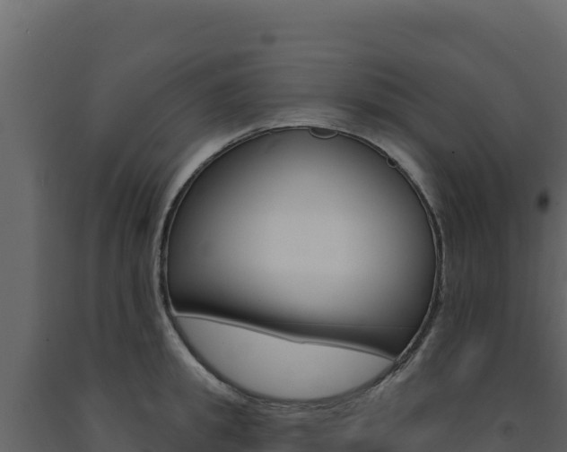 X0000091730949200708241041