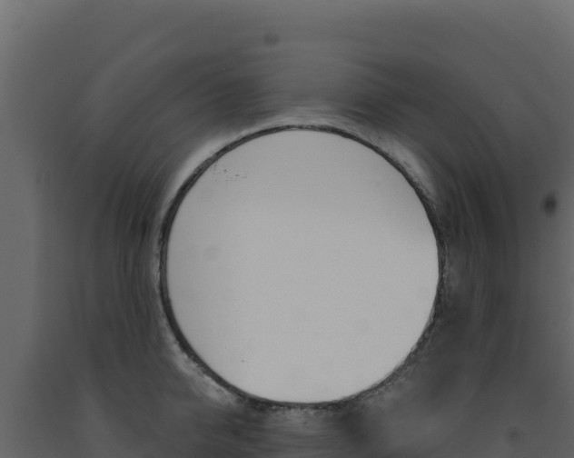 X0000091730950200708241041