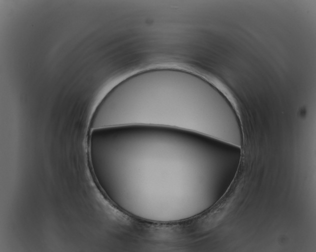 X0000091730951200708241041