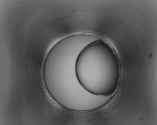 X0000091730952200708241041