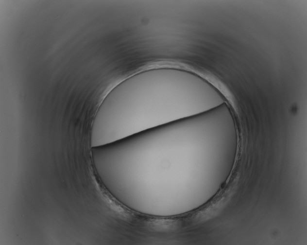 X0000091730953200708241041